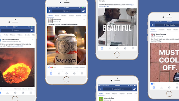 5-brands-facebook-vertical
