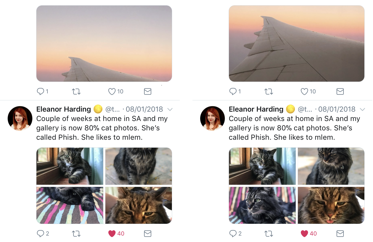 Twitter améliore sa façon de recadrer l’aperçu des photos