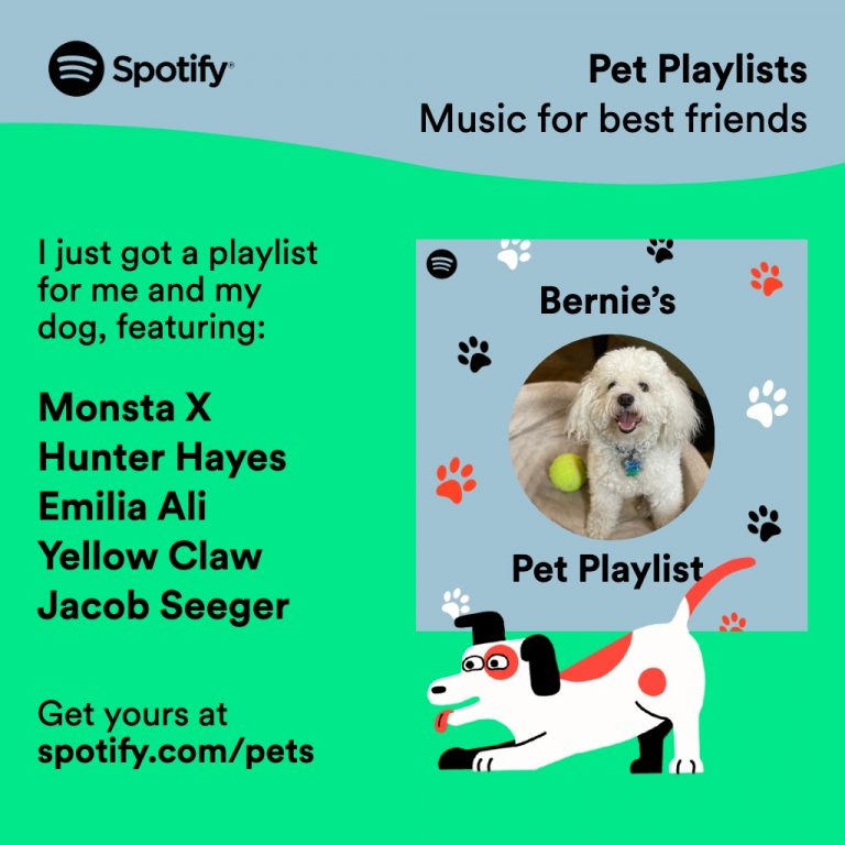 Playlist per animali spotify