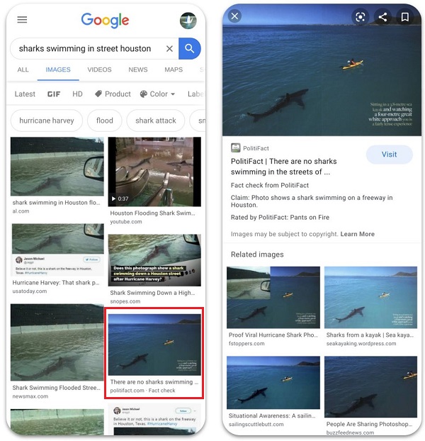 Google Image search