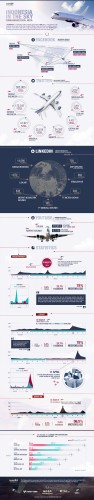 indonesia-in-the-sky-brand24-infographic-1